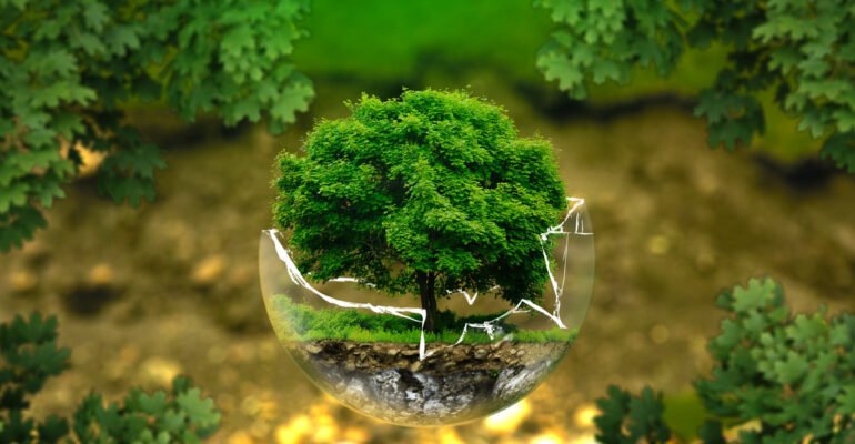 Importance of Environmental Audit for Educational Institutions