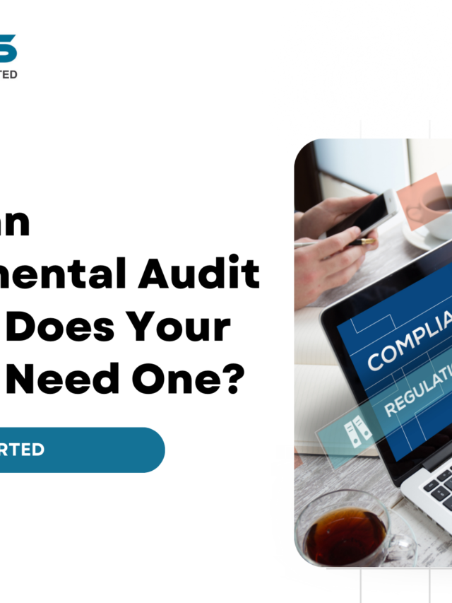 What is an Environmental Audit and Why Does Your Business Need One?